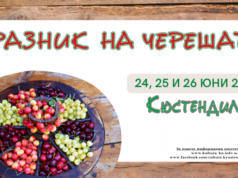 Празник на черешата – 2022 – град Кюстендил