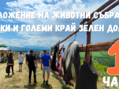 Изложение на животни и курбан за здраве се проведоха в Благоевград (Видео)