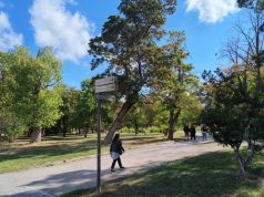 Ефективност на азотното хранене в професионалното земеделие: ролята на почвата, корените и микробиологията