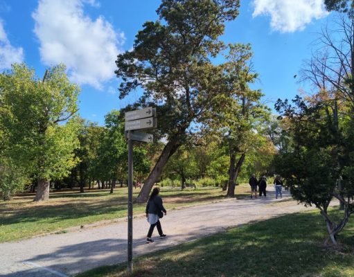 Ефективност на азотното хранене в професионалното земеделие: ролята на почвата, корените и микробиологията
