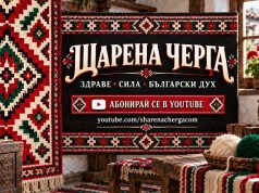 Екзотика в българския двор: Кои палми оцеляват у нас и как да ги запазим през зимата